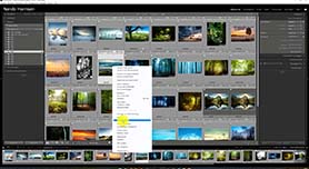 Lightroom Classic Catalogus voor Gevorderden