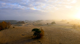 Natuurfotografie in Nederland